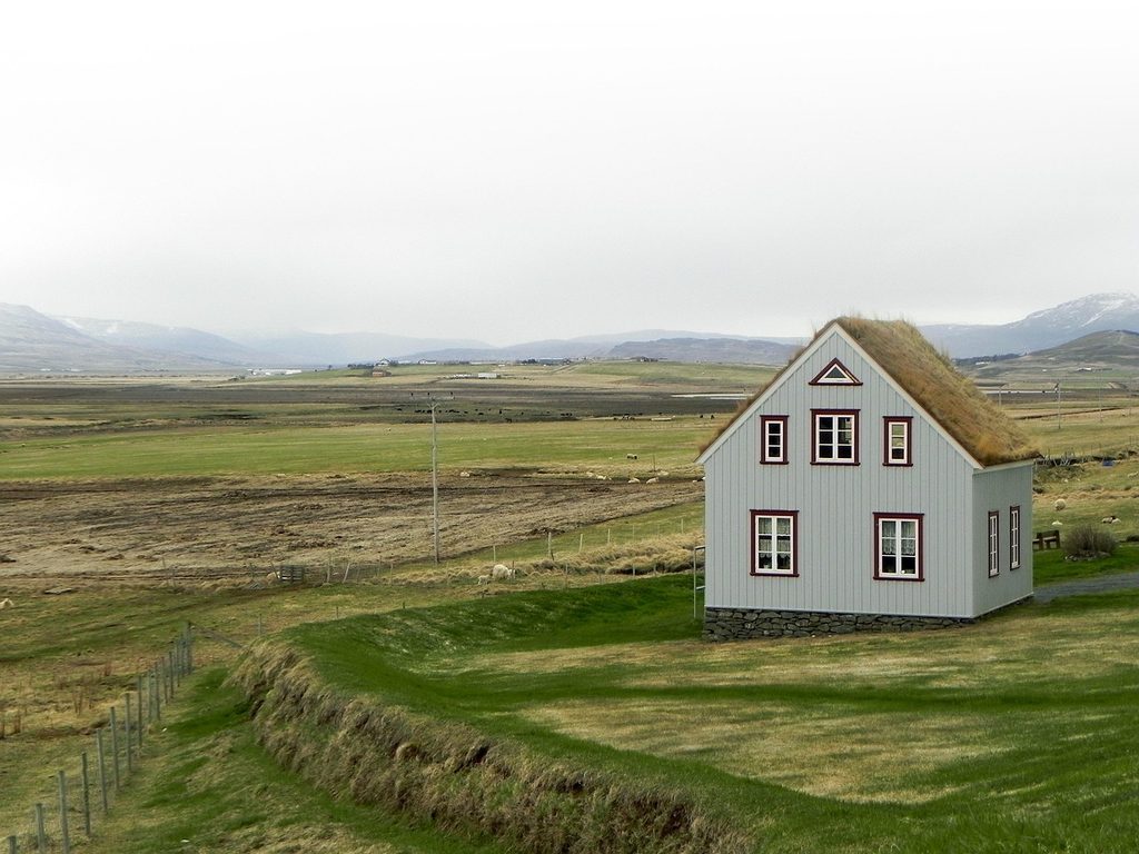 Expert roof repair services